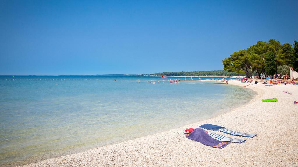 Apartments Alba Fažana Εξωτερικό φωτογραφία